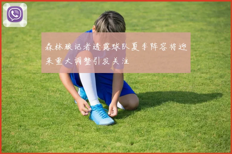 森林狼记者透露球队夏季阵容将迎来重大调整引发关注