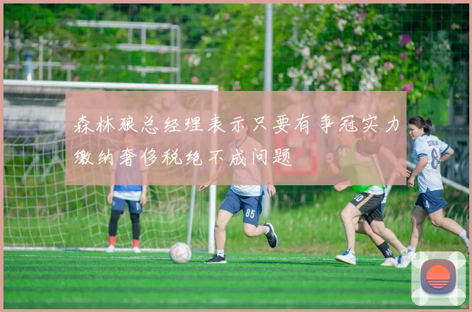 森林狼总经理表示只要有争冠实力缴纳奢侈税绝不成问题